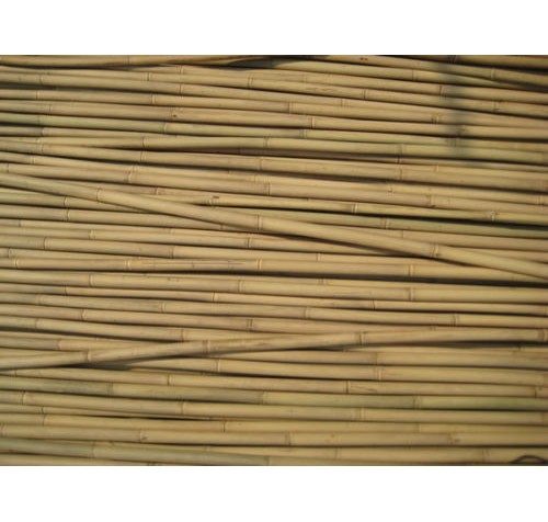 200 x 150cm (5ft) Bamboo Canes 14/16mm Diameter